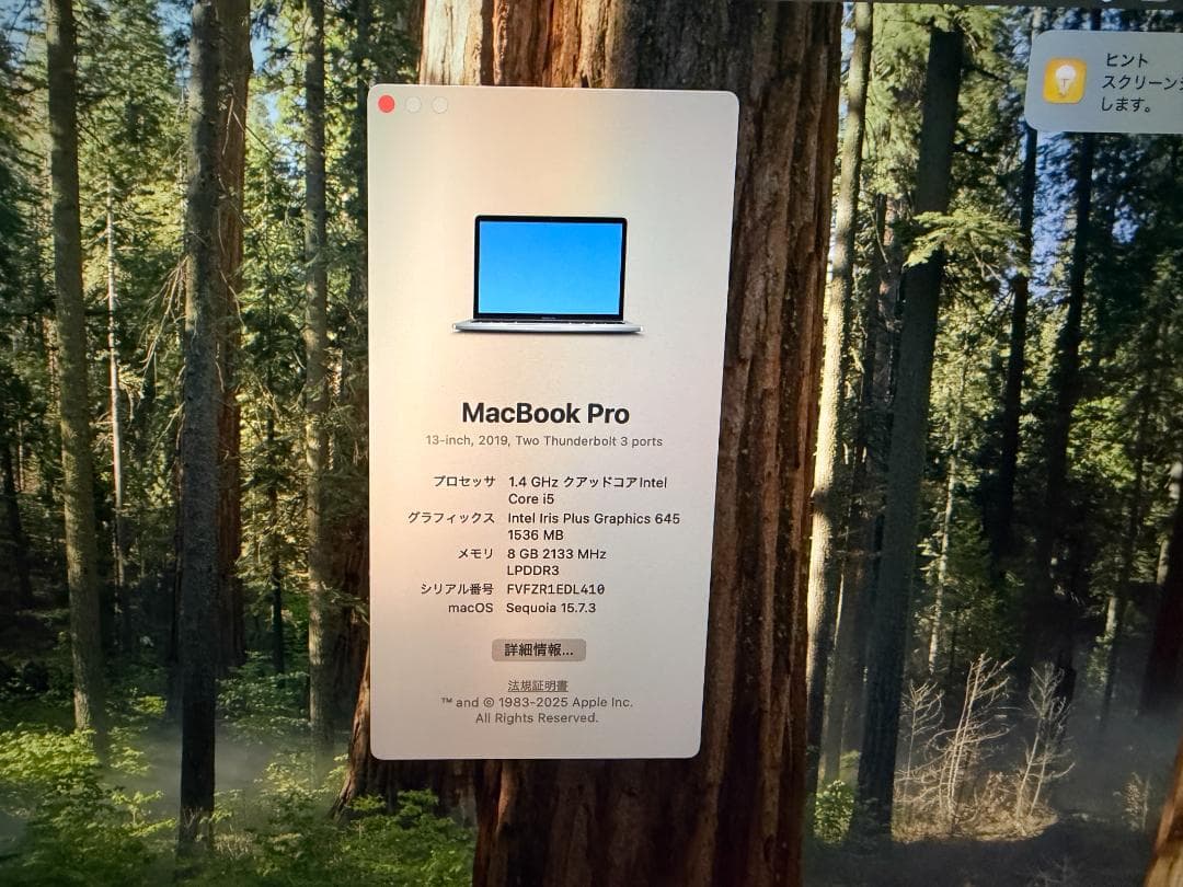 Mac Book Pro 2019 充放電回数170回 マックブックプロ 92 - メルカリ