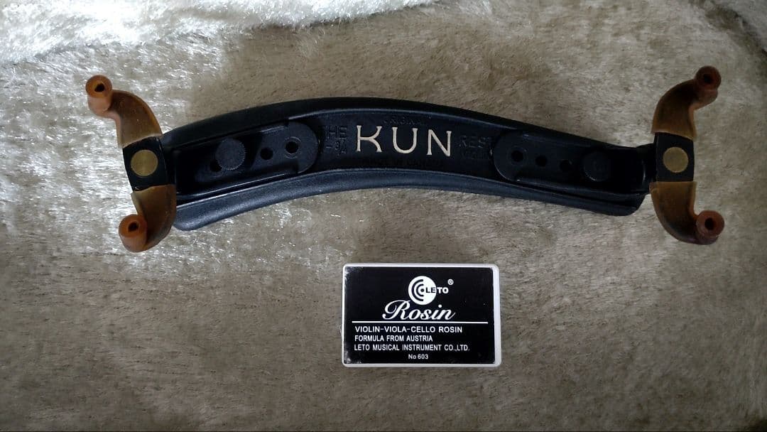 週末限定値下げ 日本製 SUZUKI バイオリン No.200 1/2 セット - メルカリ