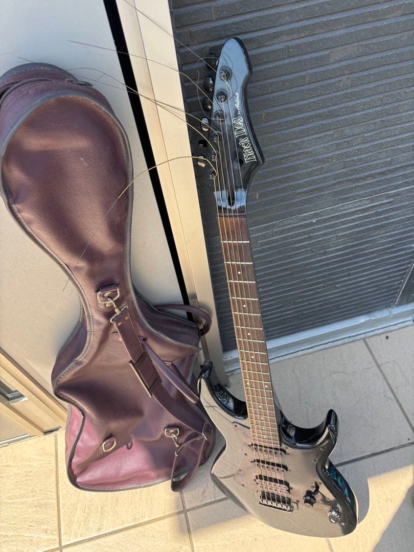 Black Dog by Aria pro Ⅱ ARIA（アリア） Ariapro II Black Dog Electric Guitar エレキギター