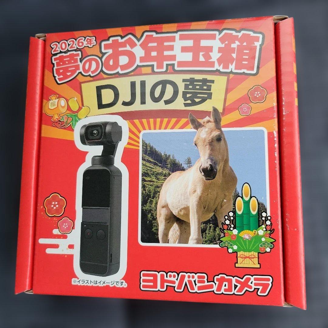 ヨドバシカメラ2026年 夢のお年玉箱 DJIの夢 - メルカリ