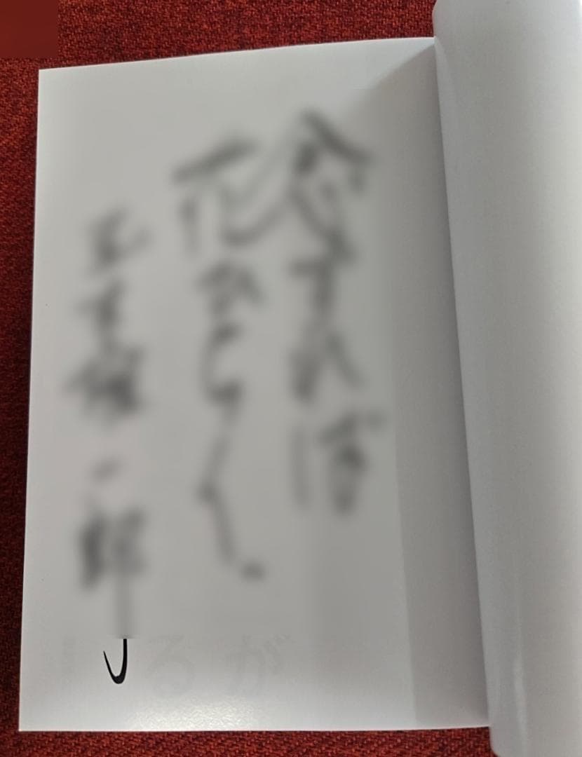 直筆サイン入り】玉木雄一郎 手取りを増やす政治が日本を変える - メルカリ
