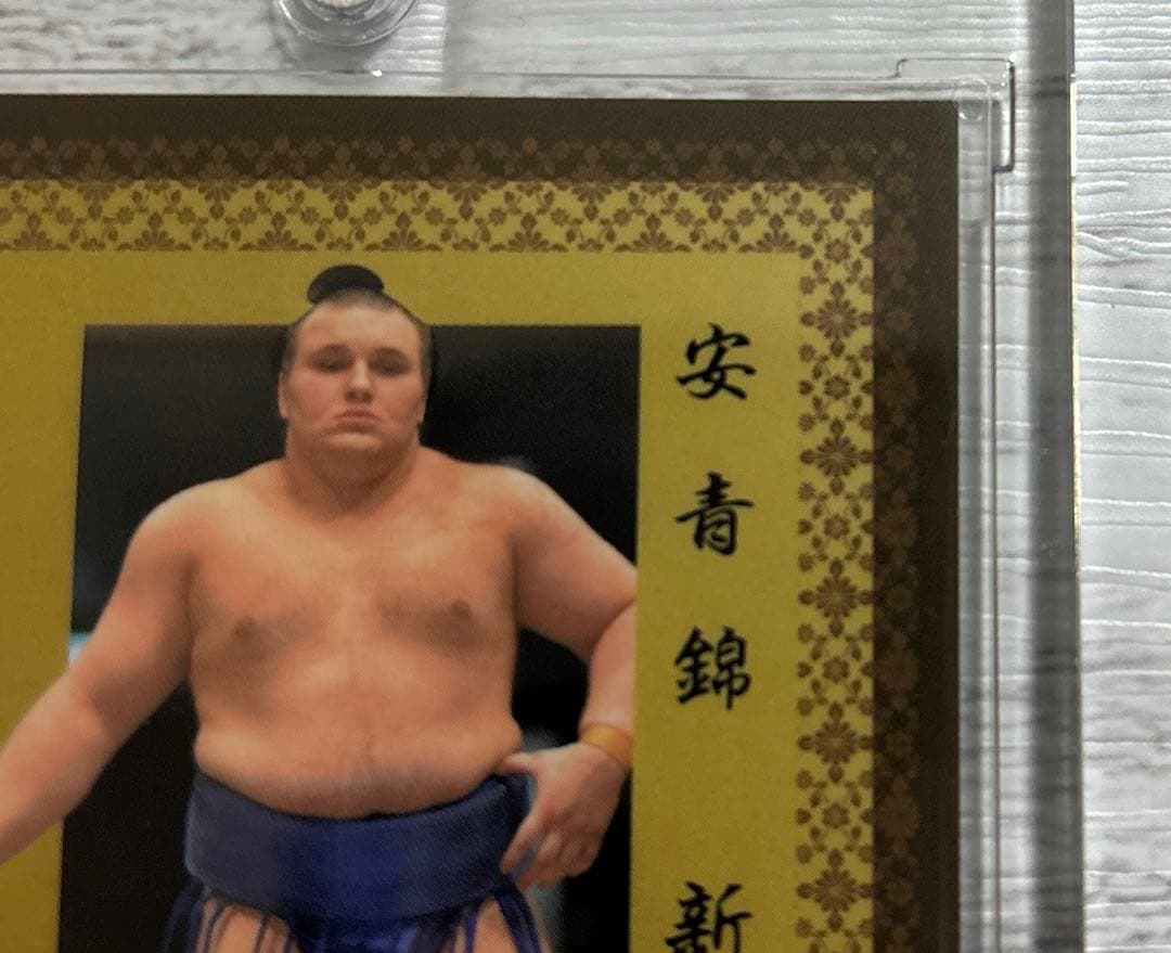 大相撲 BBM 2026 SUMO CARDSインサートカード明星 安青錦 優勝 - メルカリ