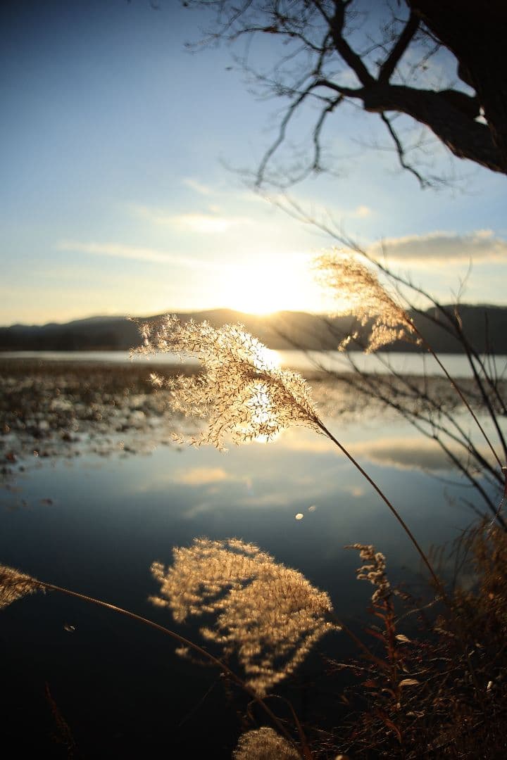 《希少》smc PENTAX-M 24-35mm F3.5 【光学美品】