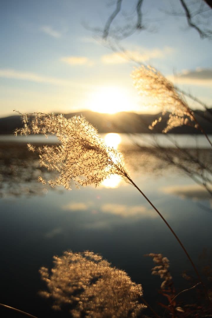 《希少》smc PENTAX-M 24-35mm F3.5 【光学美品】