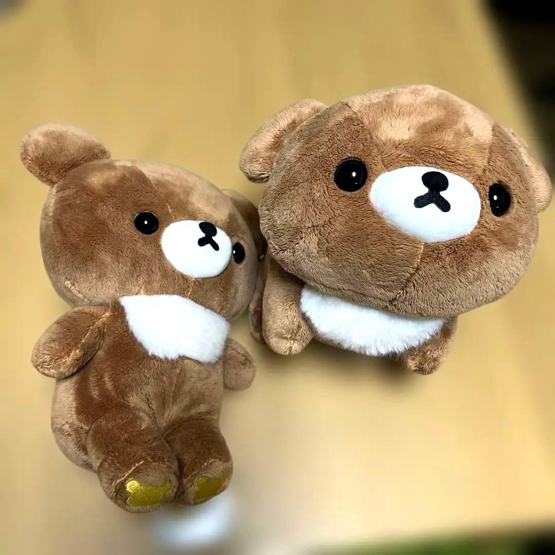 チャイロイコグマ M 初期 よつんばい ハイハイ セット 赤ちゃん - メルカリ