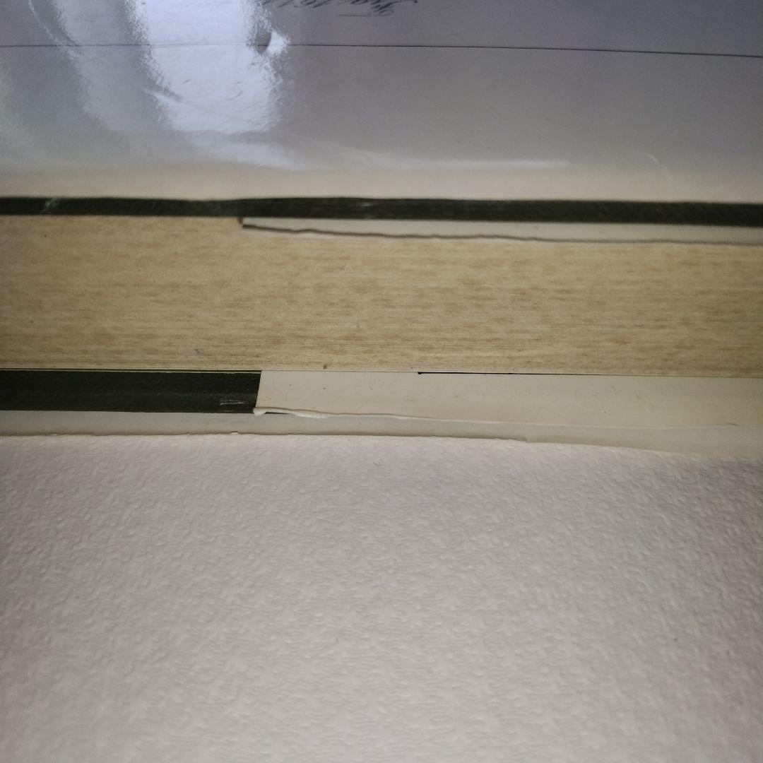 WILD FLOWERS 植物図鑑 ボタニカルアート 洋書 古書 サワビー - メルカリ