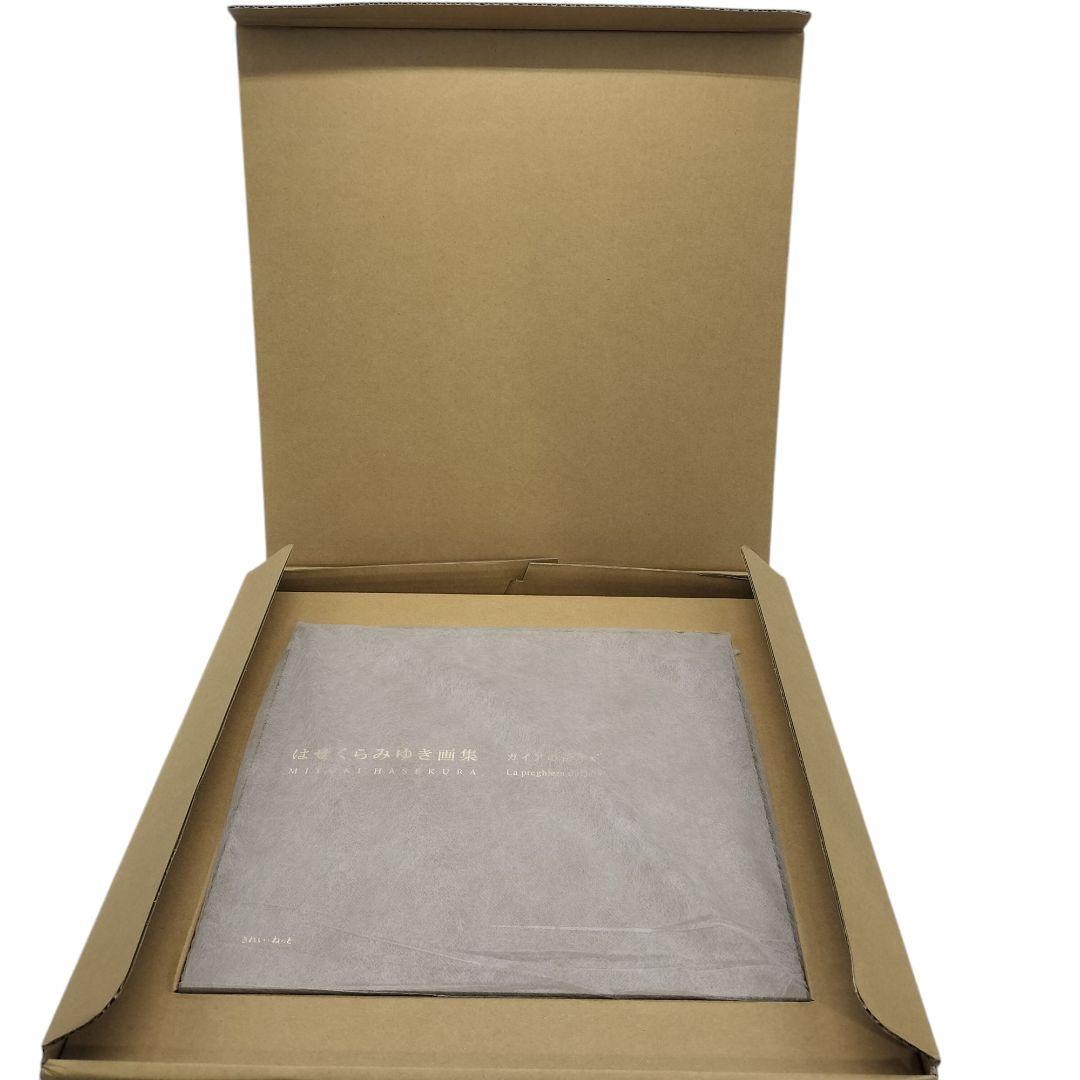 はせくらみゆき 画集 ガイアの祈り 限定1000部 シリアルナンバー付