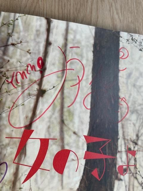 「女の子よ死体と踊れ」新品未開封DVD 映画パンフレット(サイン入り)チラシ付