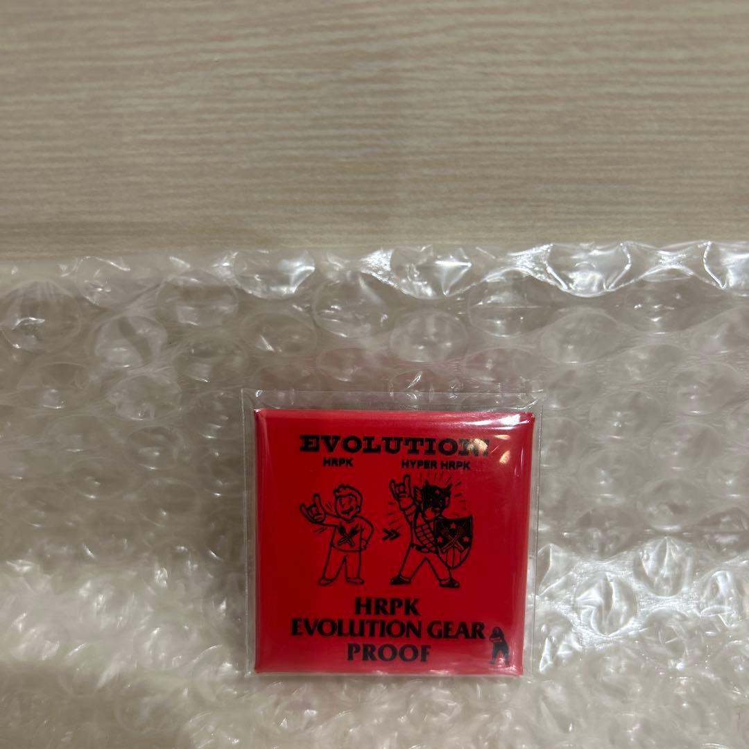 マキシマム ザ ホルモン プルーフ - メルカリ