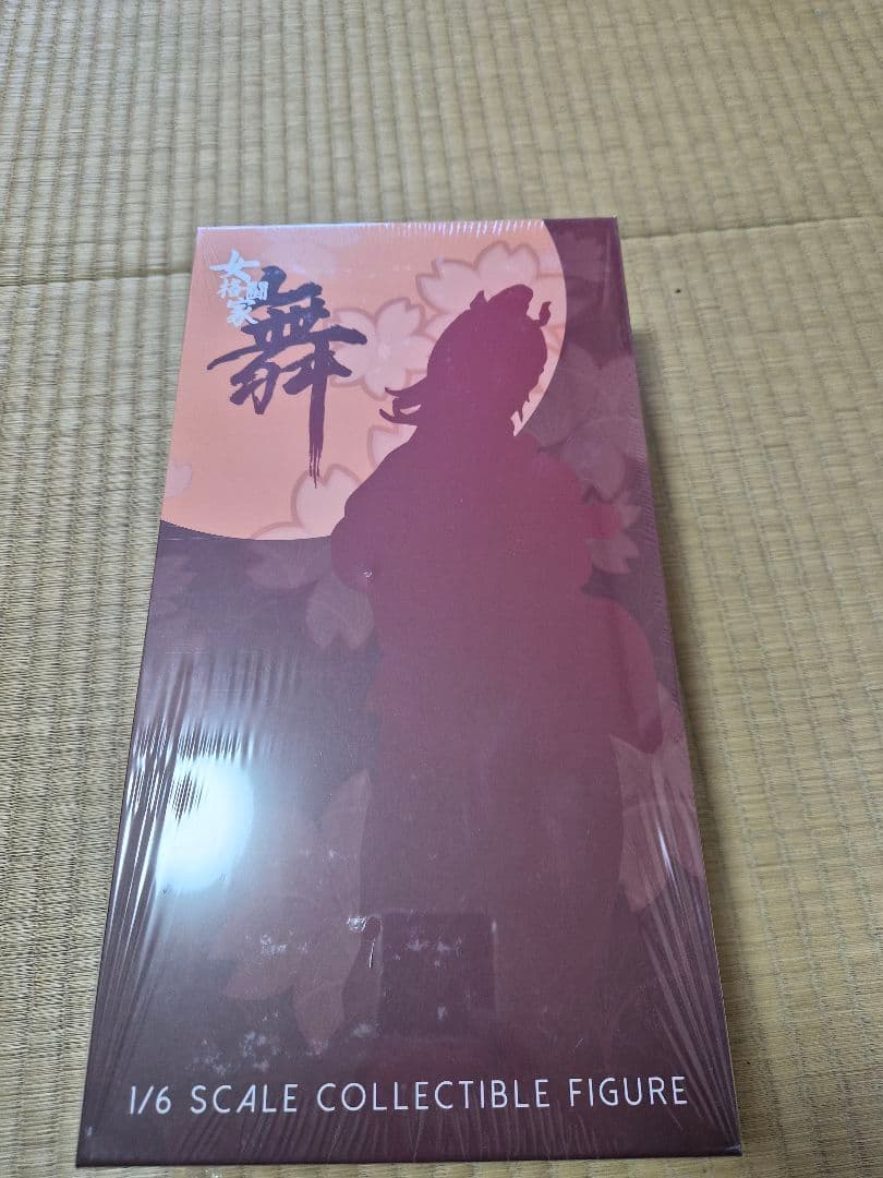 Ninja Cat N001 スーパー女性格闘家舞 1/6スケール