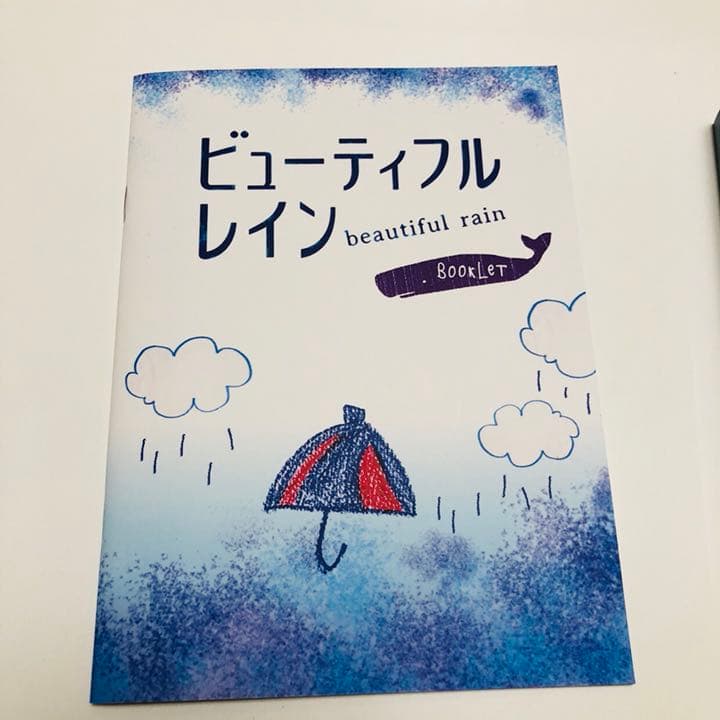 ビューティフルレイン DVD-BOX〈7枚組〉 - メルカリ