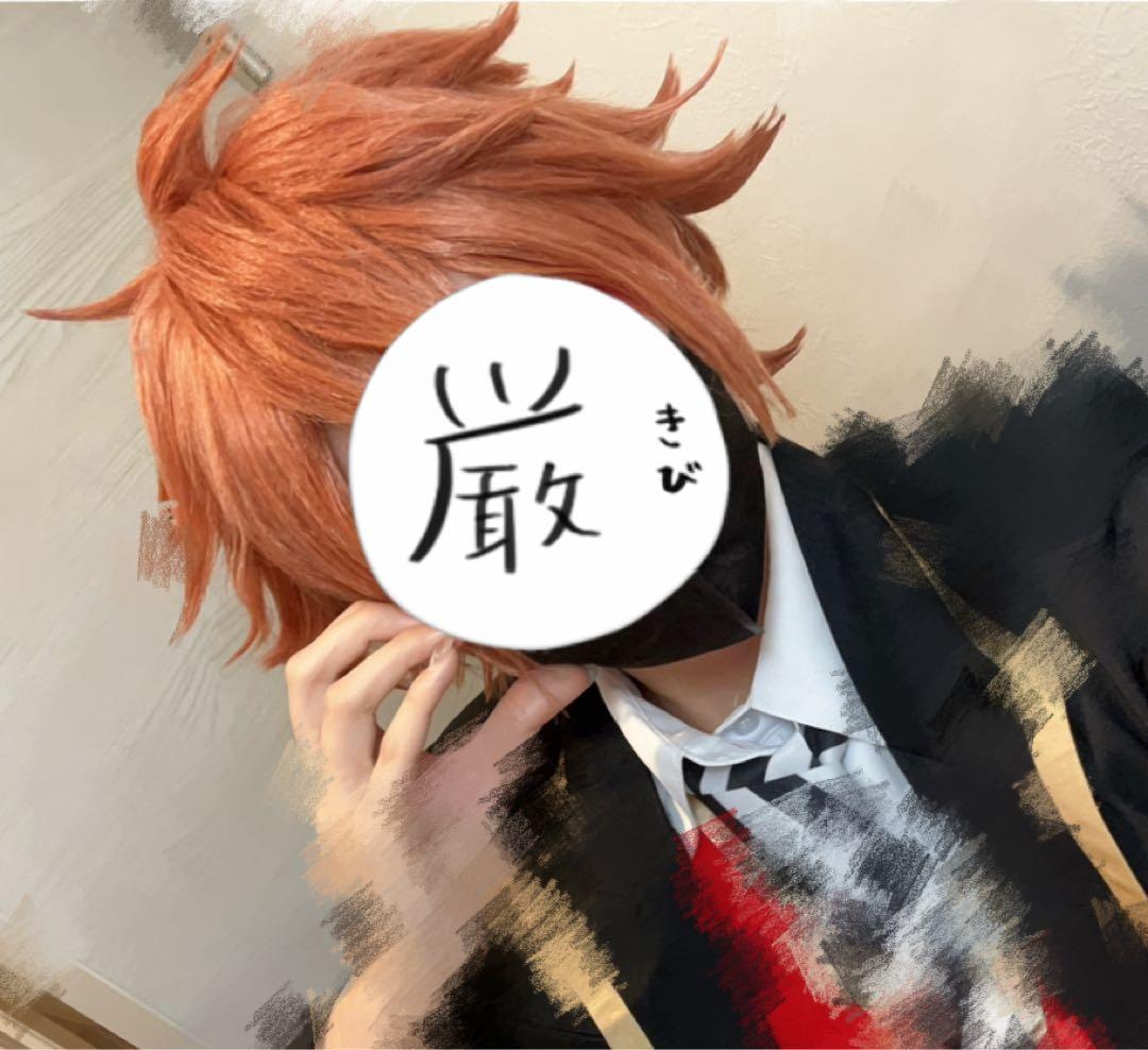 ツイステッドワンダーランド エース・トラッポラ ウィッグ - メルカリ