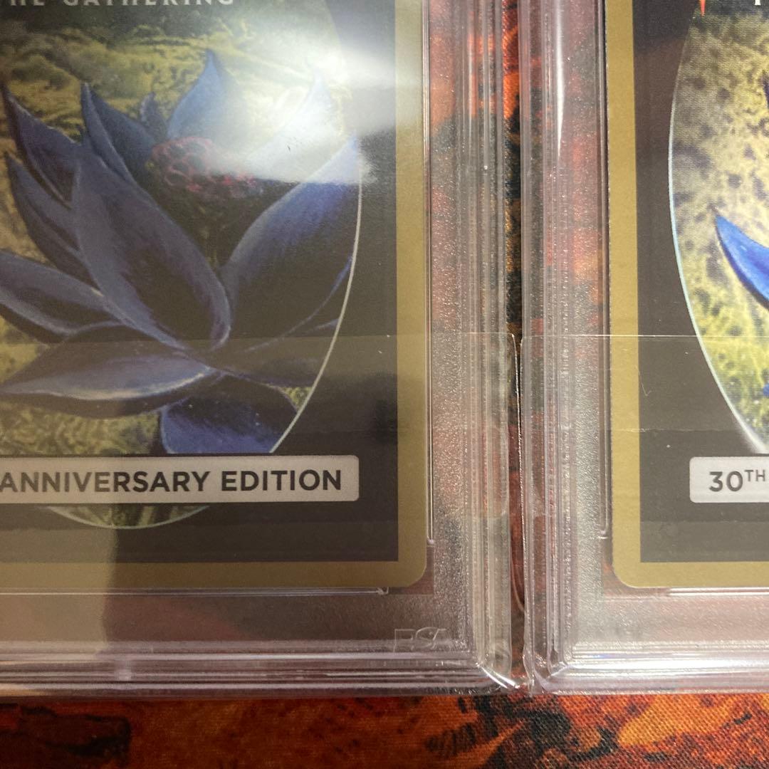 PSA10 新枠 旧枠 2枚セット Lord of the Pit 30th - メルカリ