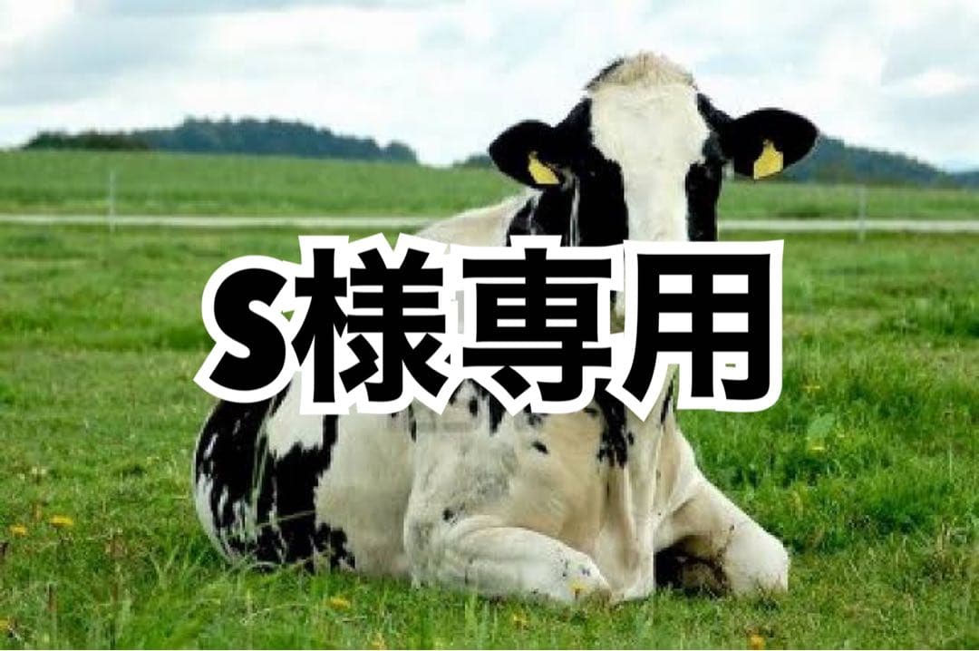 タン濃　180cm×50 Super73-ZX – American Iron Cycles