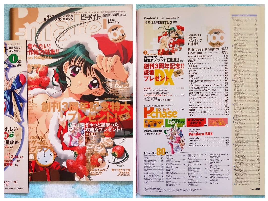 ピーメイト　2002年1月号〜12月号セット