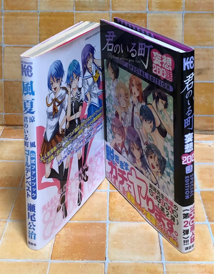 瀬尾公治「風夏 涼風 君のいる町 公式ファンブック」「君のいる町 妄想