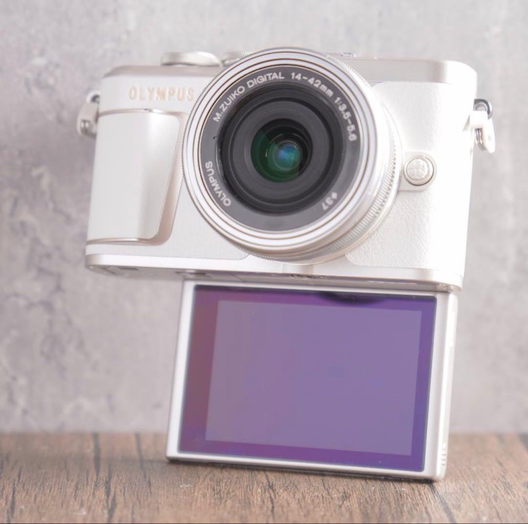 m様専用 ショット数517回 美品 OLYMPUS PEN E-PL10