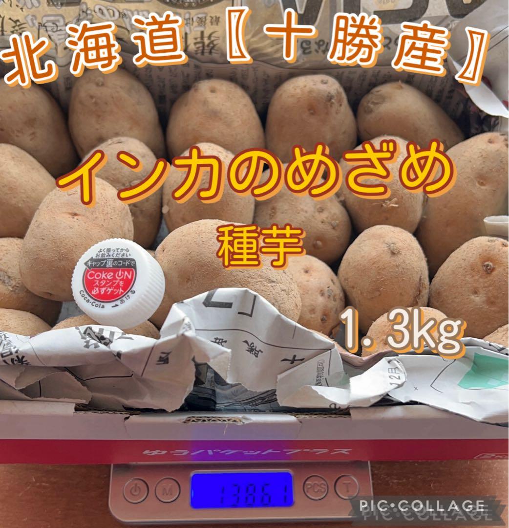 北海道〖十勝産〗 インカのめざめ 種芋 1.3kg ② - メルカリ
