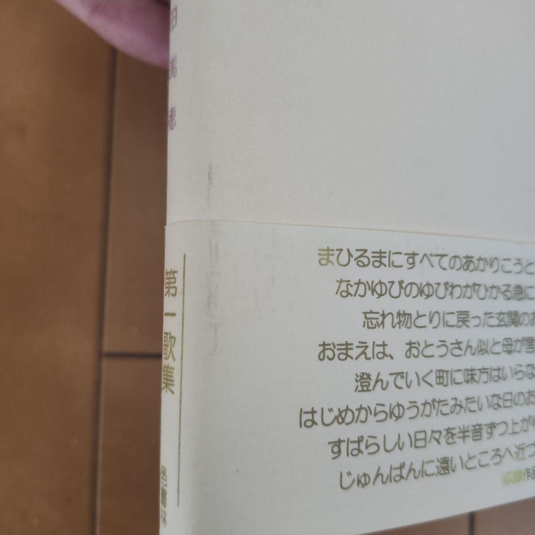 歌集　すばらしい日々　本田瑞穂