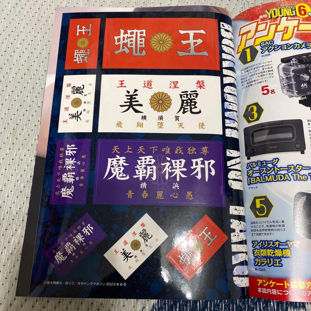 月刊ヤングマガジン付録 特攻の拓 美麗 魔覇裸邪 蝿王 特攻の拓