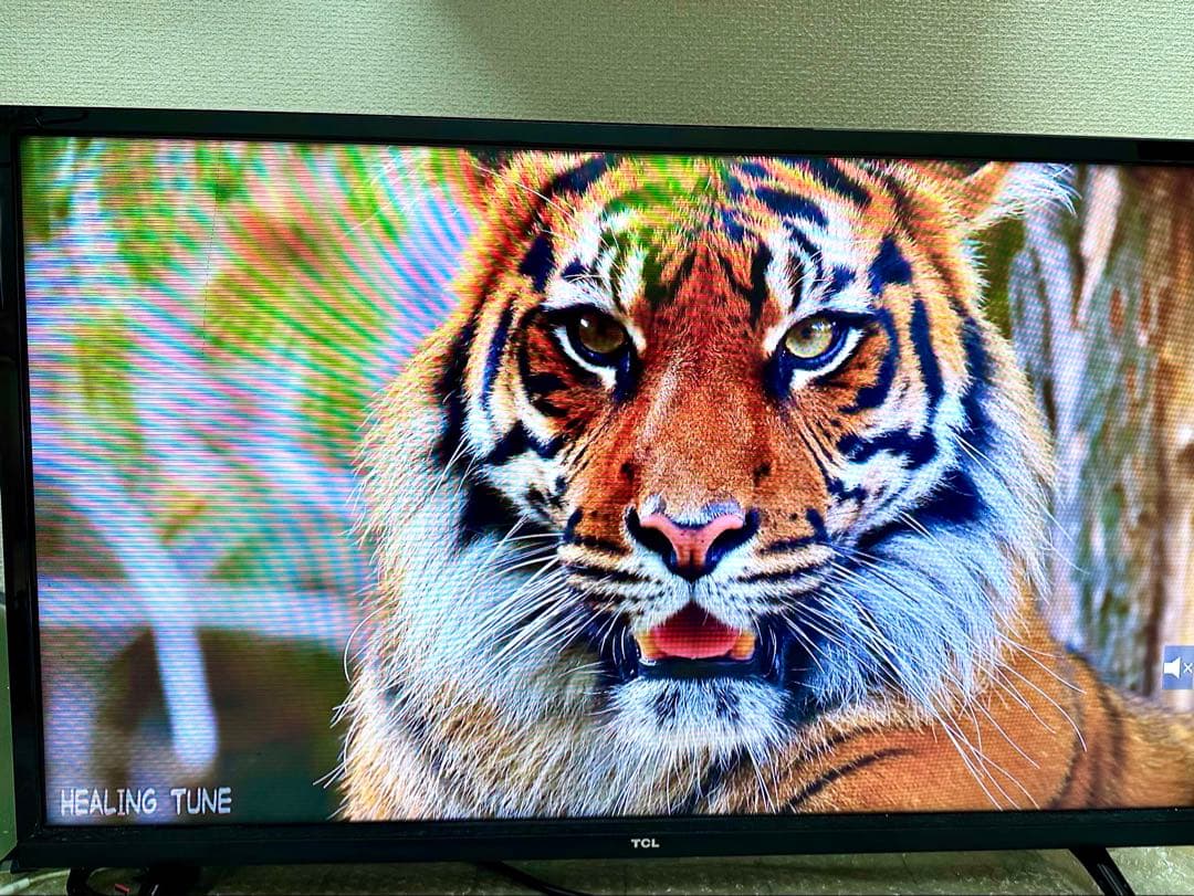 TCL フルハイビジョンスマート液晶テレビ32型　Android 楽天市場】【送料無料】TCL 32V型 フルハイビジョン スマートテレビ