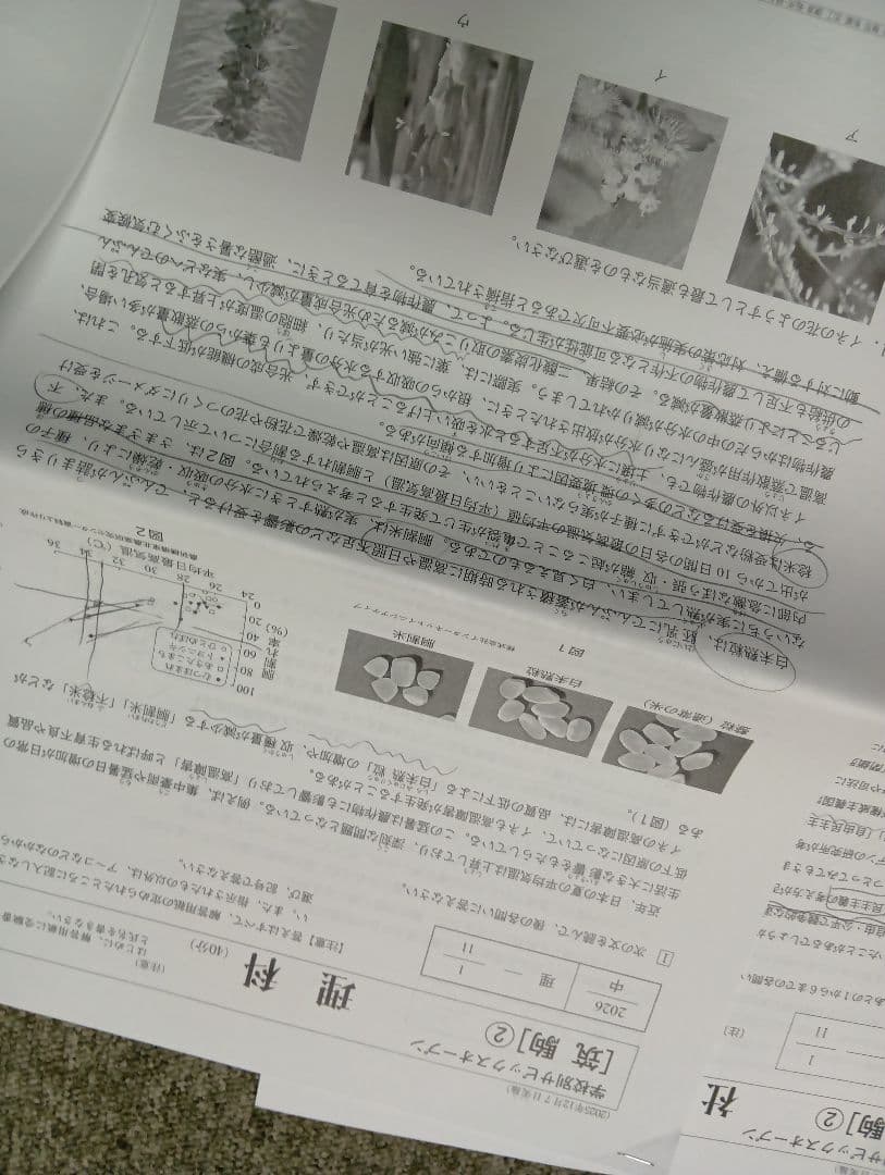 サピックス2025年 学校別サピックスオープン（開成①②/筑駒②/渋