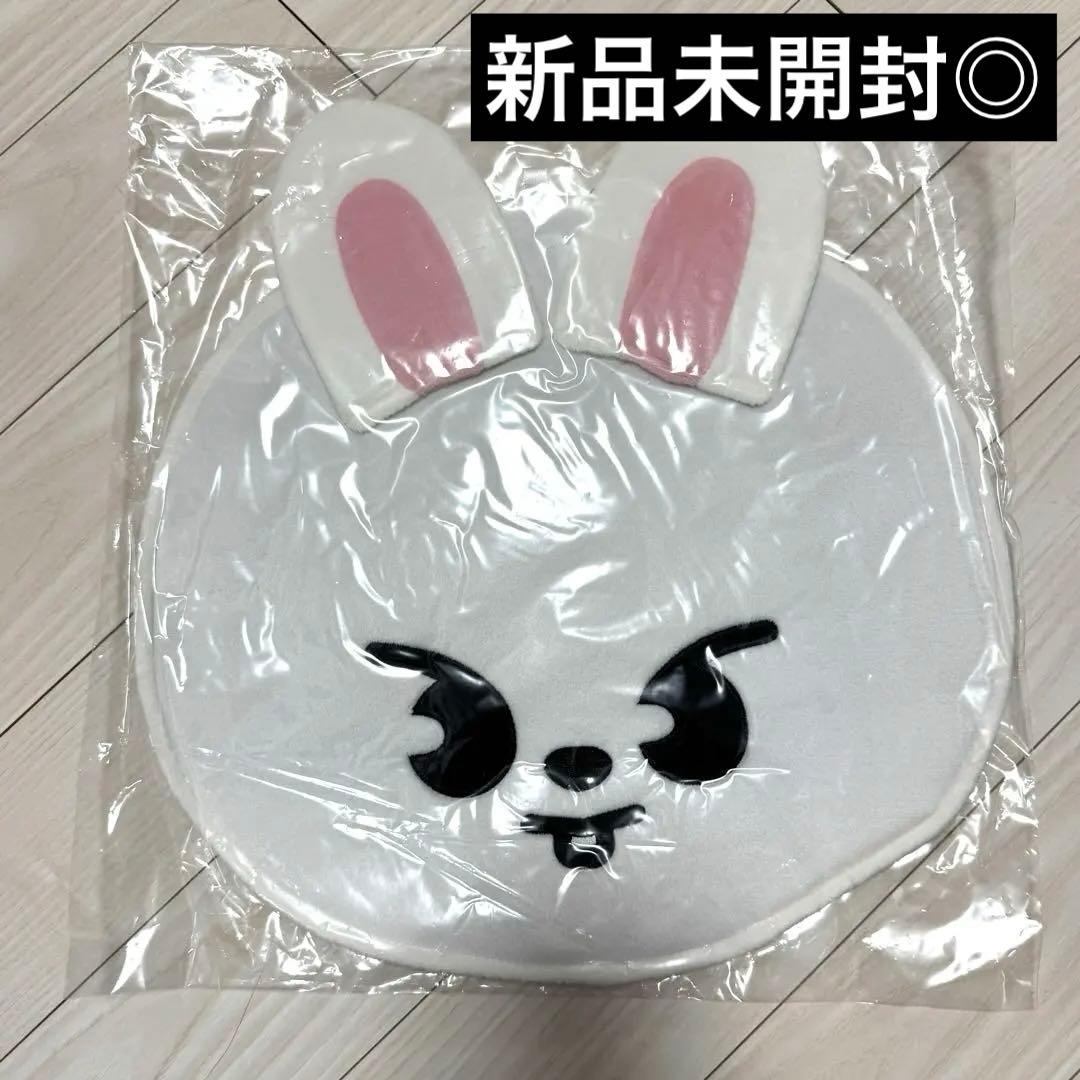 StrayKids スキズ リノ Leebit リービット うちわカバー 未開封 - メルカリ