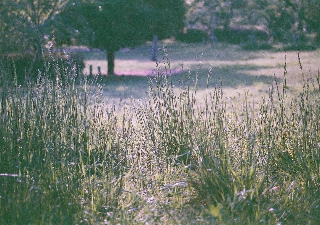 Canon EOS-1＋EF 28-80mm F2.8-4 L オートフォーカス