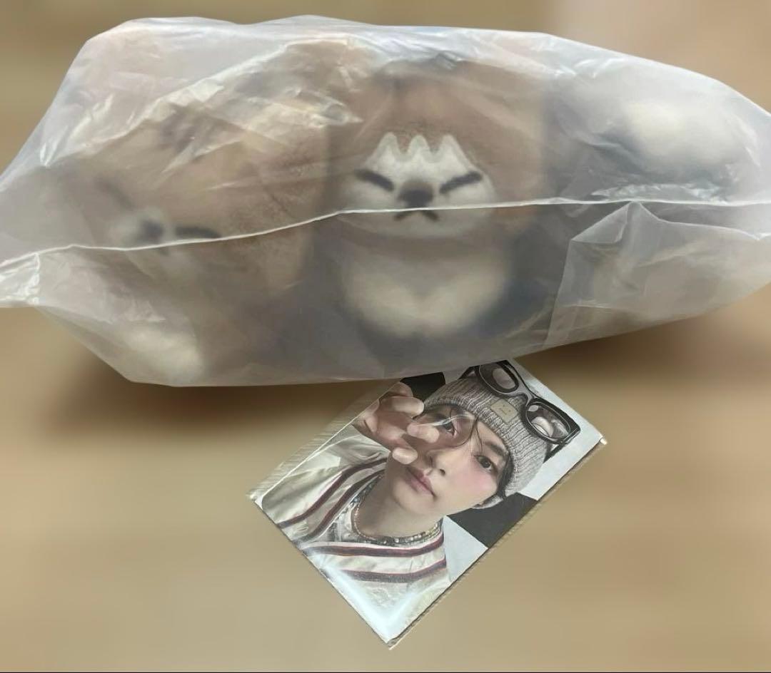 リノ メンプロ キーリング スンドゥンドリ straykids 特典トレカ付