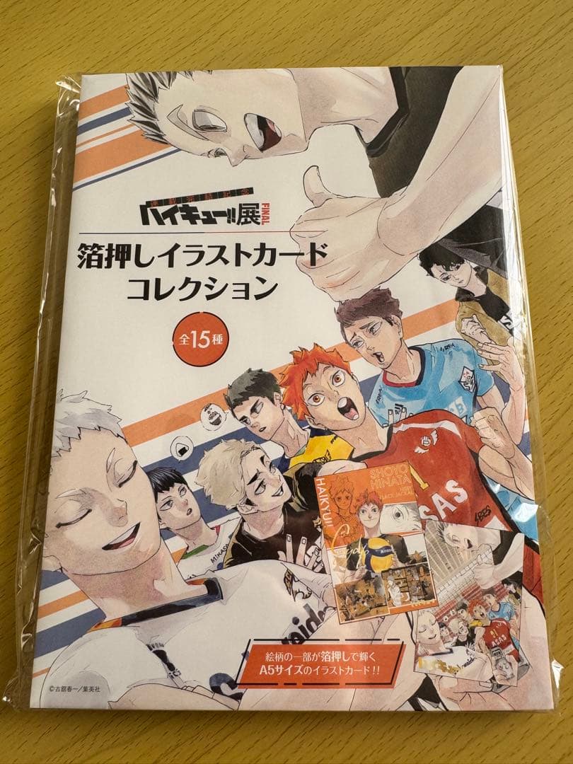 ハイキュー!! イラストカードコレクション 全15種 A5サイズ ハイキュー！！』名刺カードコレクション 第1弾 全種セット （全15