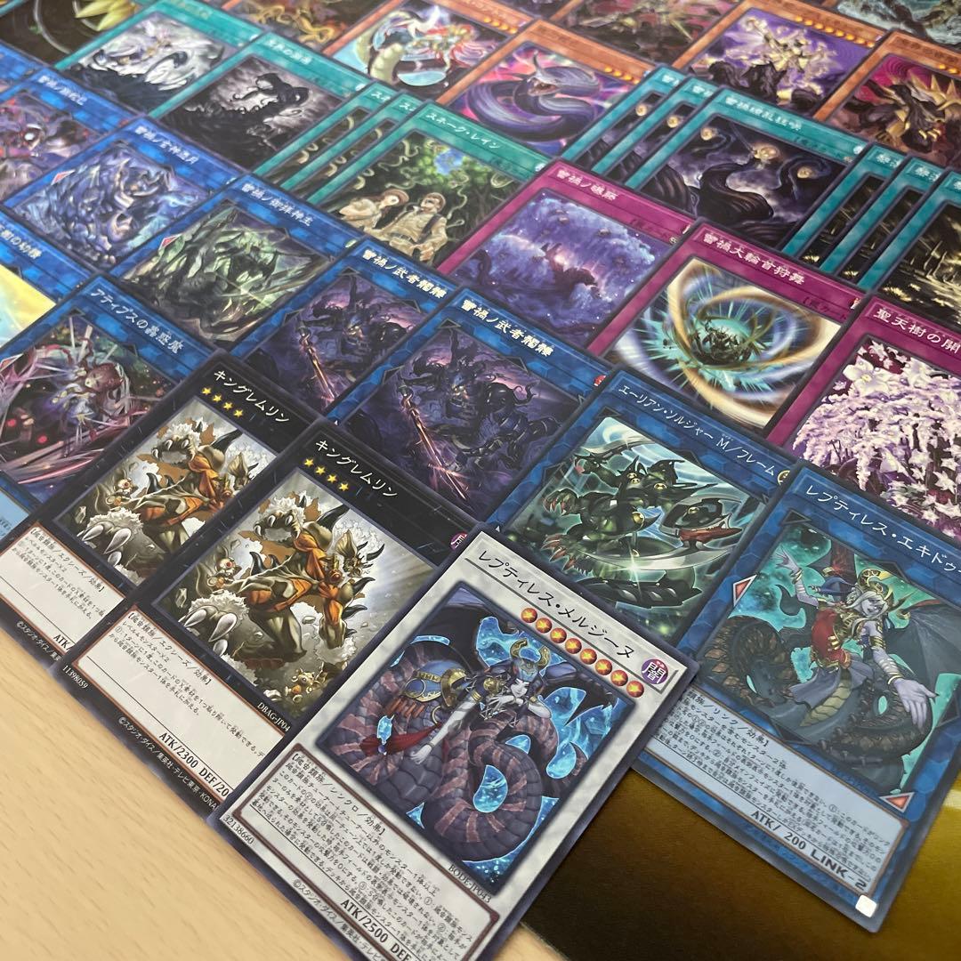 本格構築 蕾禍デッキ 溟界の蛇睡蓮 ヌル ナイア 蕾禍ノ大王鬼牙 蕾禍ノ