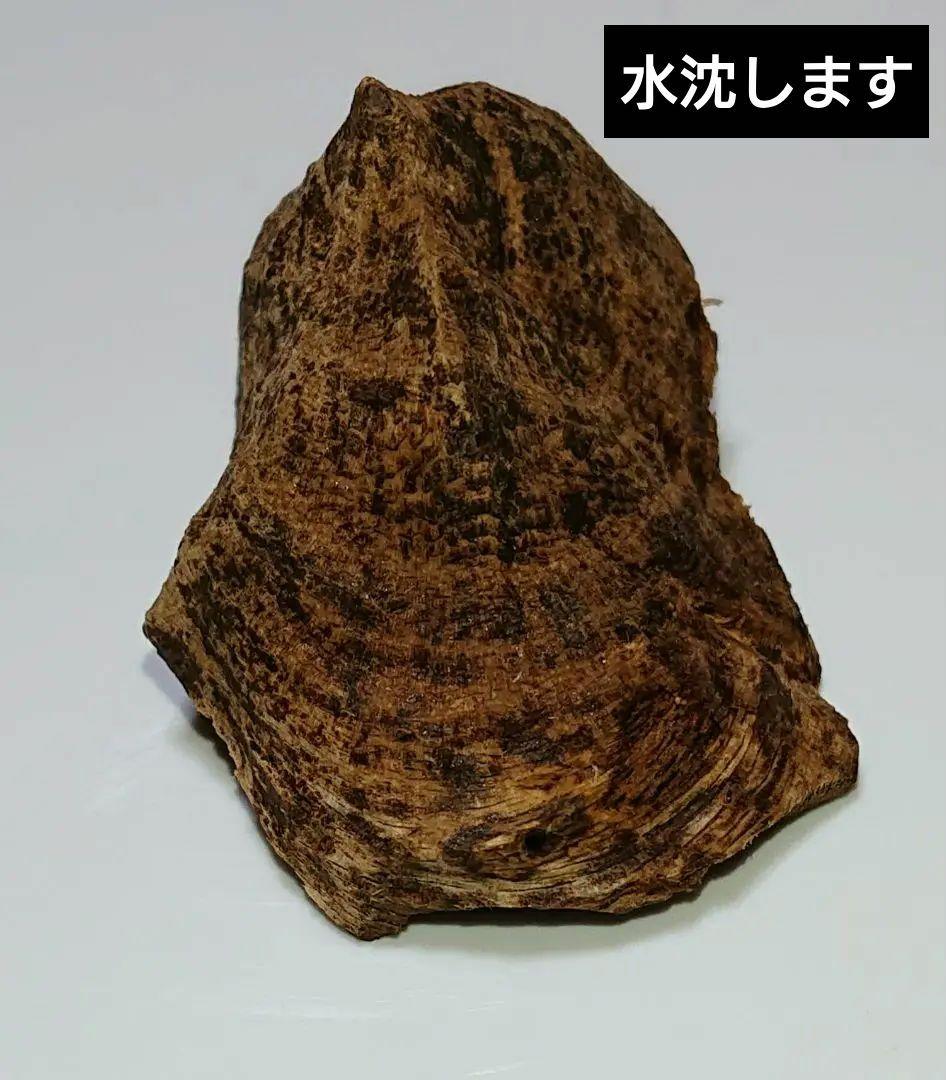 水沈没 超極上ベトナム フエ産 香木 香木 沈香 – TOKYO KODO