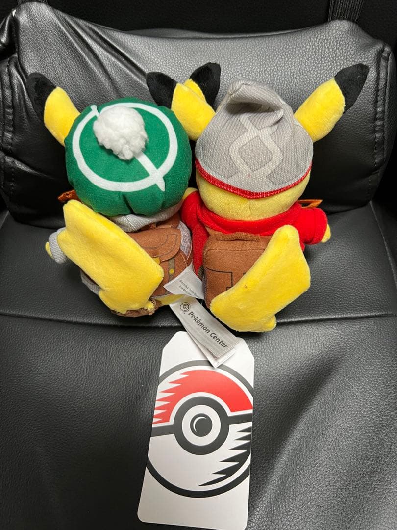 海外ポケモンセンター限定 ピカチュウ ぬいぐるみ ペアセット ガラル