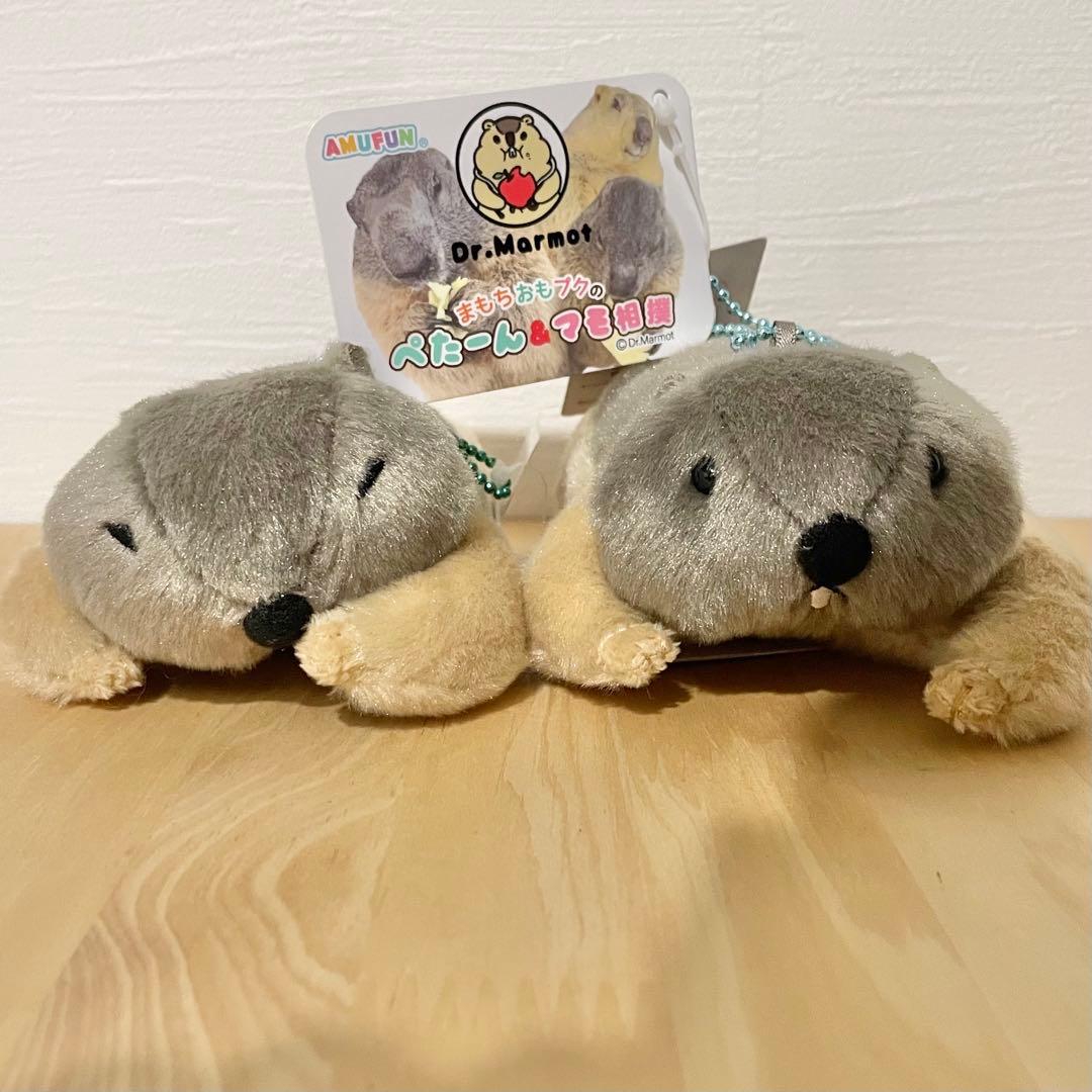 Dr.マーモット まもちおもプクのぺたーん＆マモ相撲ぬいぐるみ 2種