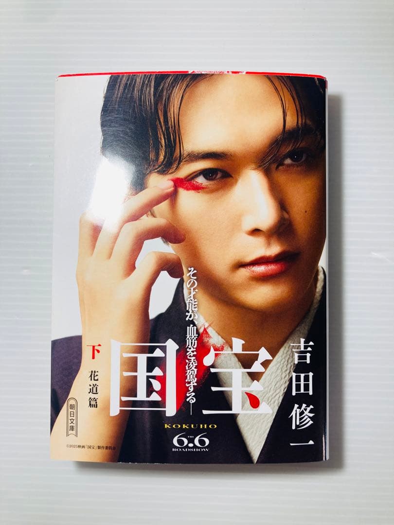 激レア‼️ 国宝 下巻 吉沢亮 吉田修一 ダブルカバー 映画 ブックカバー