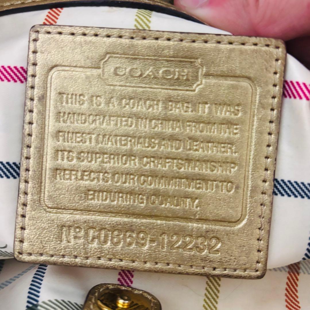 Coach Ergo Pleated Frame Kiss Rock Bag