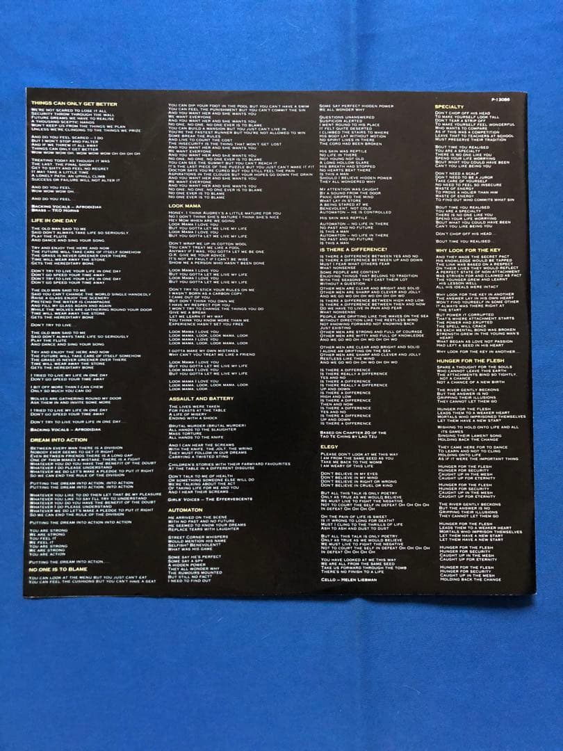 LPレコード♢ハワード・ジョーンズ♢P-13086♢帯付♢うg4925w43 - メルカリ