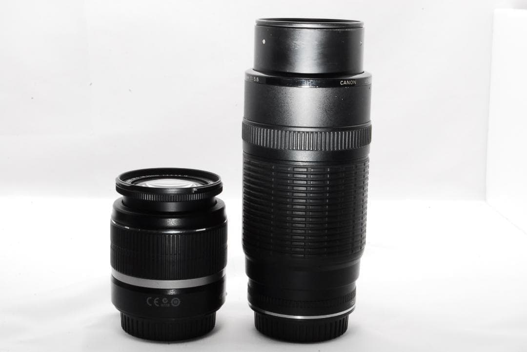 初心者安心保証付き✨ダブルレンズCanon EOS Kiss X5セット - メルカリ