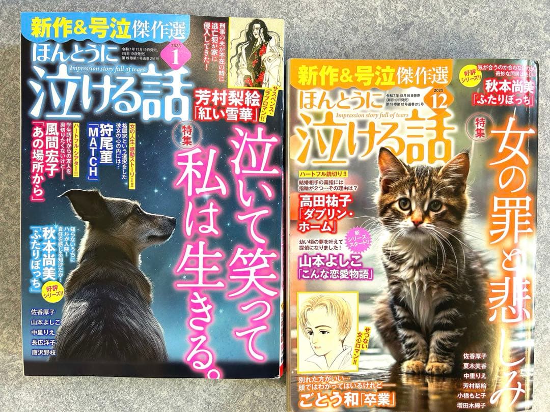 直筆イラスト 直筆サイン入 カーニバル 山下和美