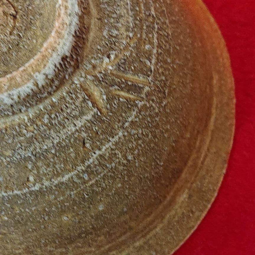 信楽 高橋登美雄造 平茶碗