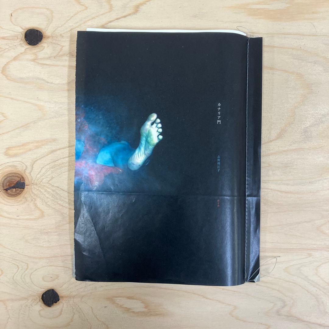 志賀理江子　カナリア門　赤々舎 カナリア門｜志賀理江子 – At Sea Day