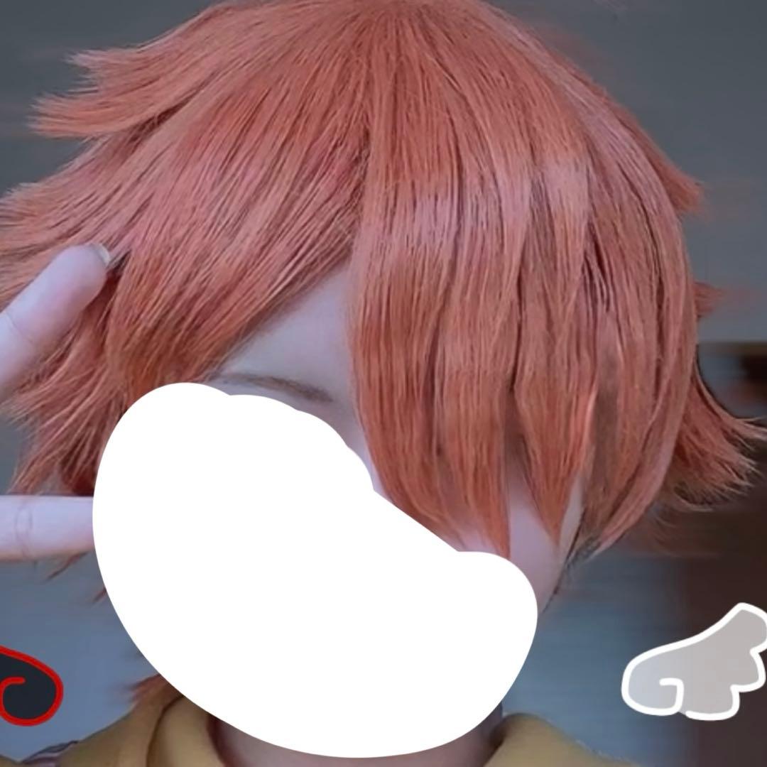 日常組 ぺいんと コスプレ ウィッグ付き 実況者 - メルカリ