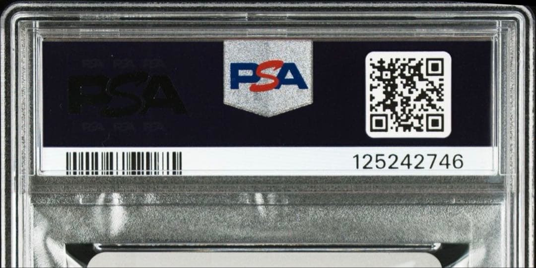 PSA10】黒雪姫 / 黒羽早雪 / ブラックロータス アクセルワールド 水着