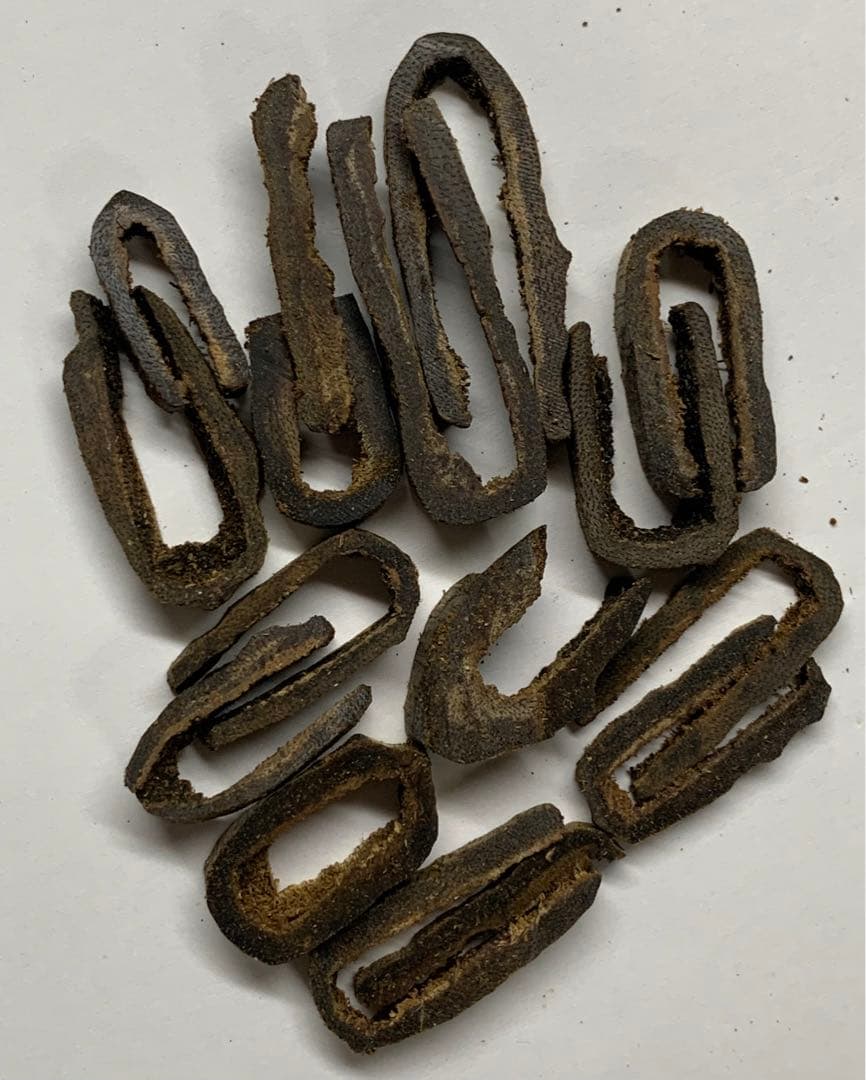 極上黒伽羅 沈香原木 香木 黒伽羅重さ:10g (高ランク本物証明) 楽天市場】天然沈香【高ランク甘味 10g】量り売り 沈水香木 香木 沈香