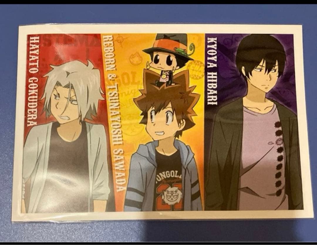 家庭教師ヒットマンREBORN ポストカード 雲雀恭弥 獄寺隼人 沢田綱吉