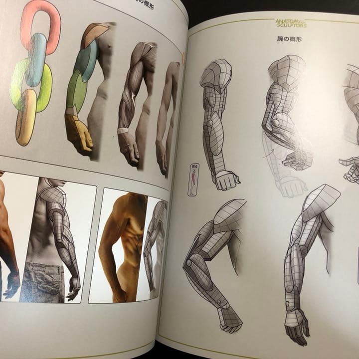 スカルプターのための美術解剖学 - メルカリ
