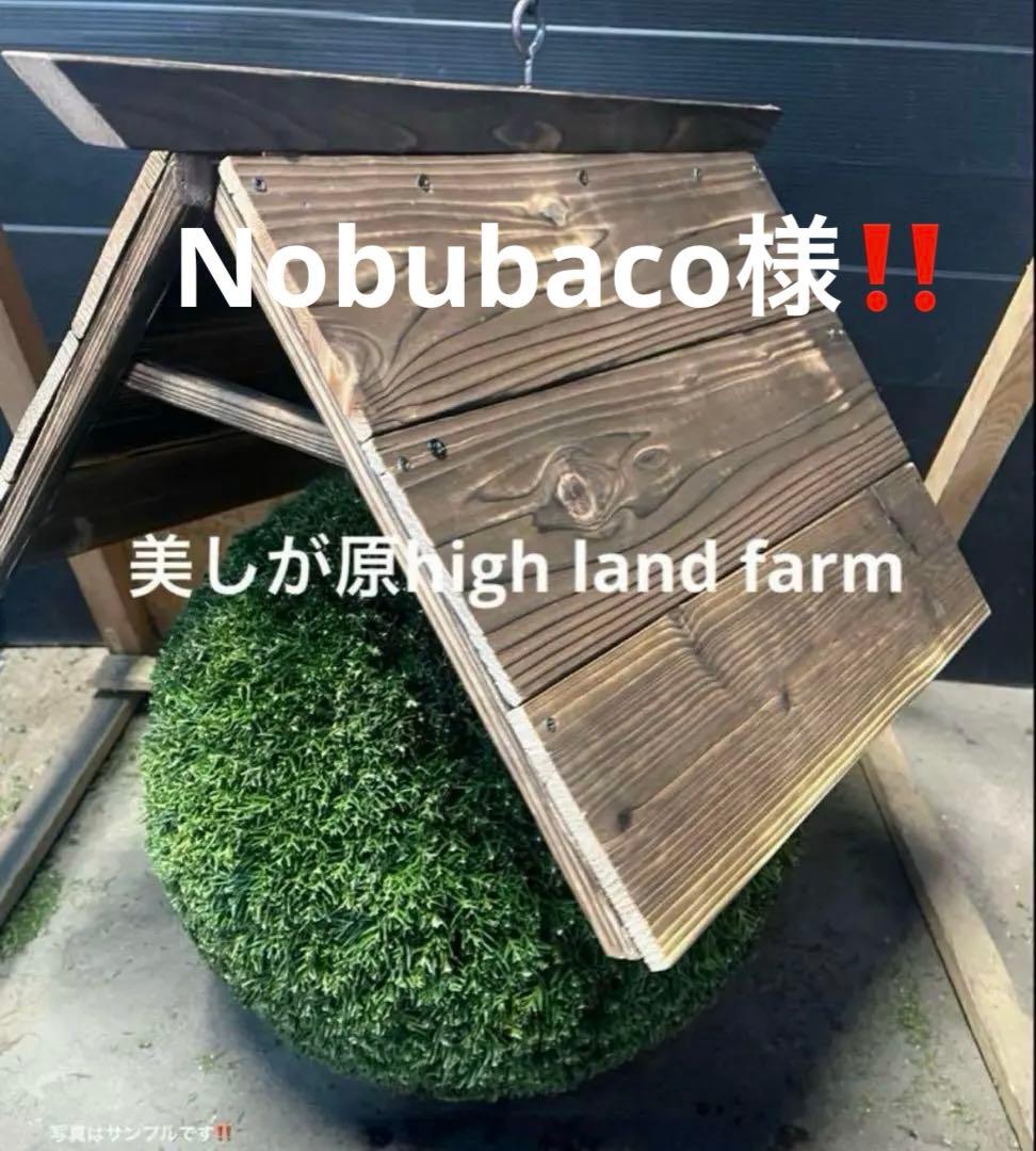 杉玉 約30センチ‼️縁起物 丸くて幸せ 家族円満♪ - メルカリ