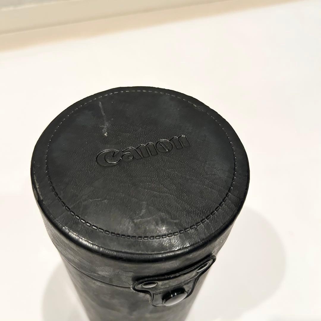 Canon EF 75-300mm f/4-5.6 IS ズームレンズ