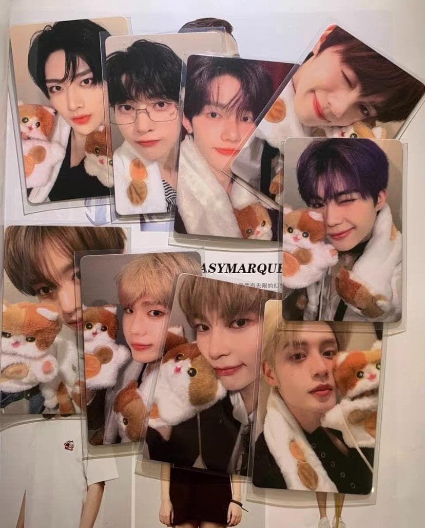 zb1 yizhiyu 一直娱 ねこ特典 トレカ 9枚セット 全員 - メルカリ