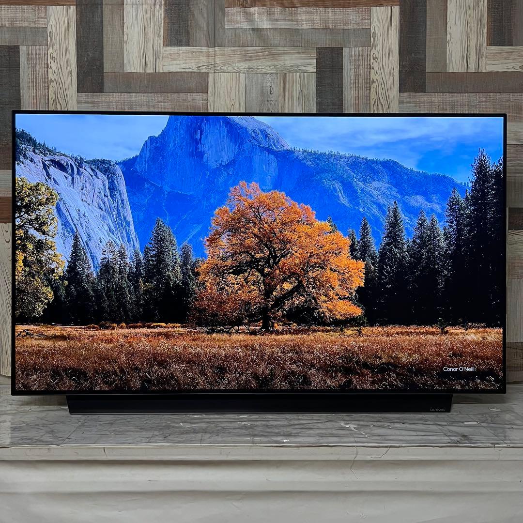 全国送料込❣️LG55型4K有機EL YouTube NETFLIX視聴可